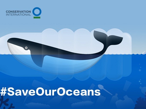 #SaveOurOceans - Vừa "sống ảo" thỏa thích vừa gây quỹ bảo vệ môi trường biển toàn cầu