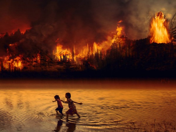 Sau thảm họa cháy rừng Amazon, mỗi người chúng ta có thể làm gì để sống xanh?