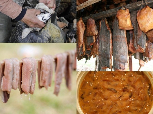 Hải cẩu nhồi xác chim và những món ăn bốc mùi nhất thế giới