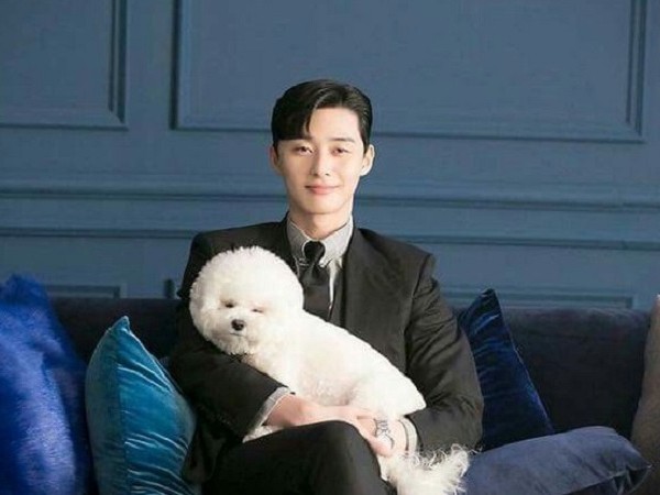 Park Seo Joon chơi lớn đưa cún cưng đi quay Youtube và cái kết không ngờ