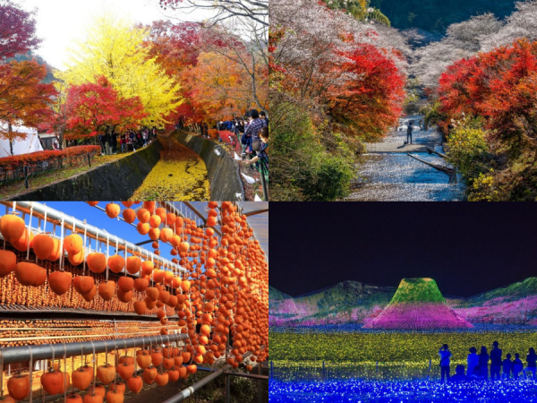 Du lịch Nhật Bản vào mùa Thu, bạn đừng quên trải nghiệm những lễ hội hấp dẫn này