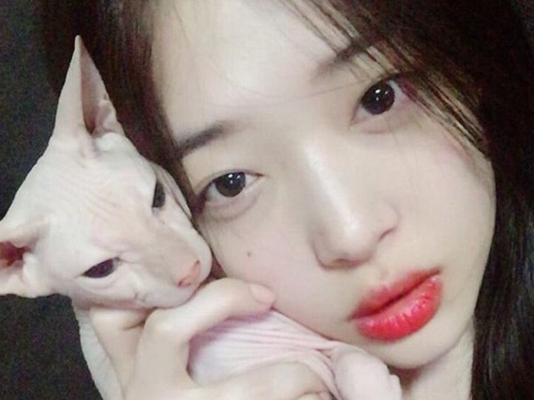 Hóa ra Kim Heechul (Super Junior) đã lặng lẽ đón mèo cưng của Sulli về chăm sóc