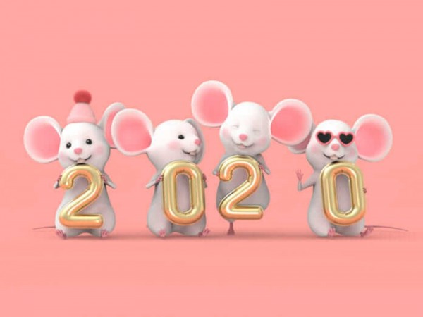 Năm mới nói chuyện về loài chuột: Vì sao chuột lại đứng đầu trong 12 con giáp?