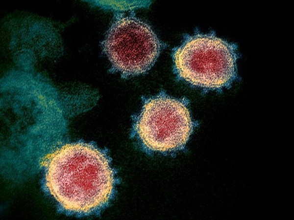 Các nhà khoa học Mỹ đã hoàn thành việc chế tạo vắc-xin virus corona