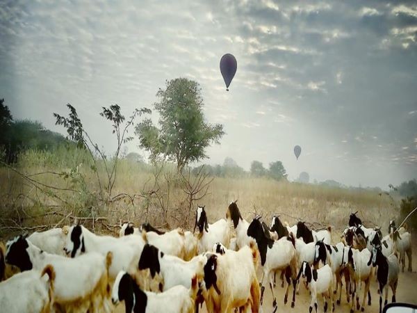 Bagan - Lạc vào mê cung của hàng nghìn đền đài tuyệt mĩ (Kỳ 1)