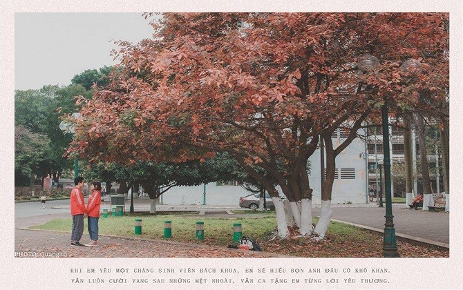 Lãng mạn mùa cây thay lá sân trường Hà Nội